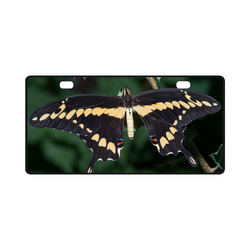 Giant Swallowtail Butterfly License Plate