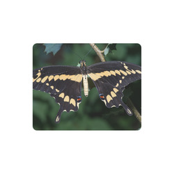 Giant Swallowtail Butterfly Rectangle Mousepad