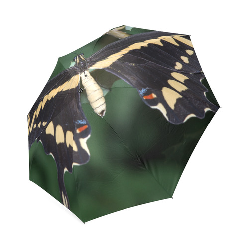 Giant Swallowtail Butterfly Foldable Umbrella (Model U01)