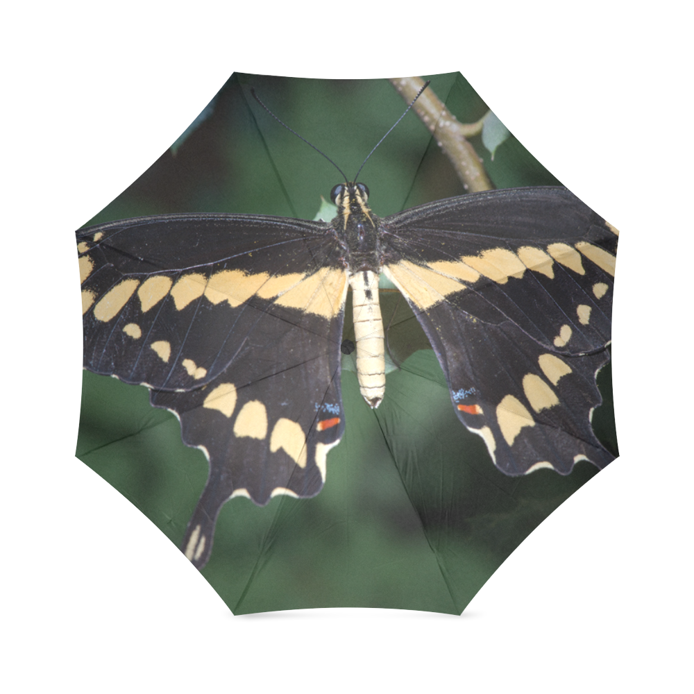 Giant Swallowtail Butterfly Foldable Umbrella (Model U01)