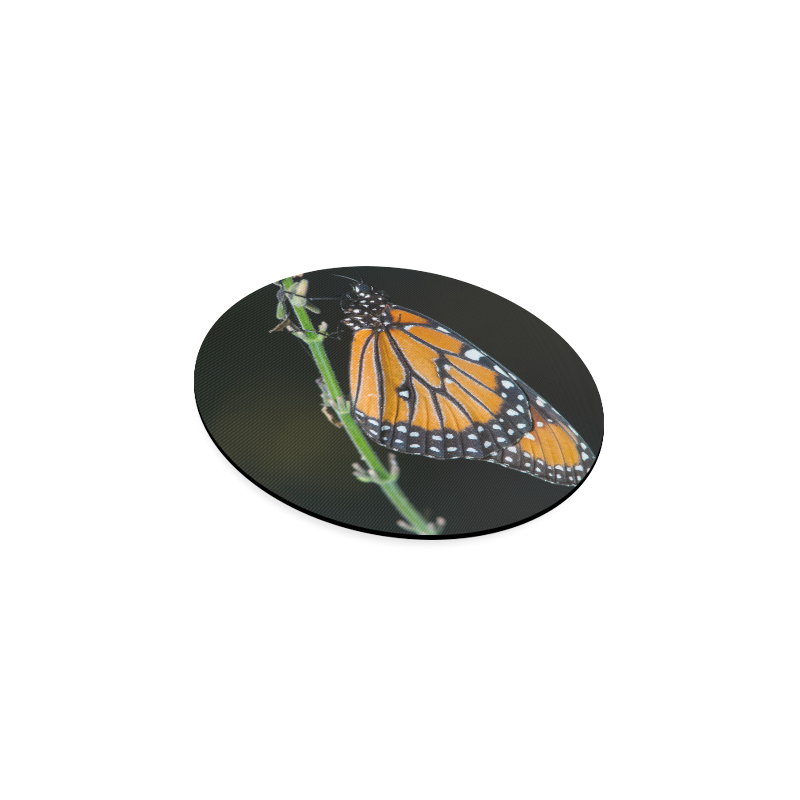 Monarch Butterfly Round Coaster