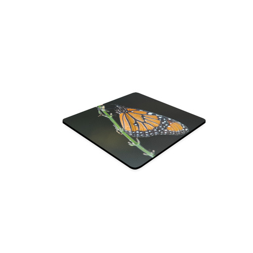 Monarch Butterfly Square Coaster