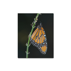 Monarch Butterfly Canvas Print 16"x20"