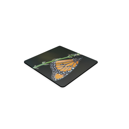 Monarch Butterfly Square Coaster