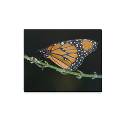 Monarch Butterfly Canvas Print 20"x16"