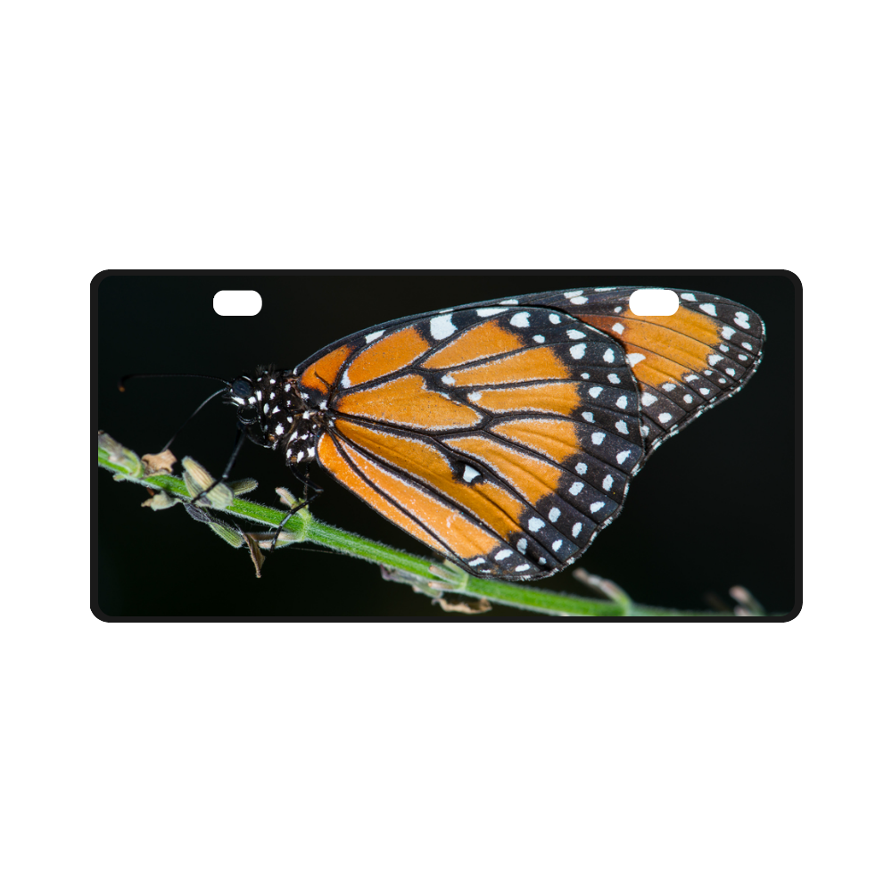 Monarch Butterfly License Plate