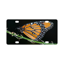 Monarch Butterfly Classic License Plate