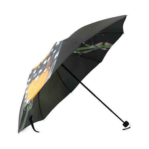 Monarch Butterfly Foldable Umbrella (Model U01)