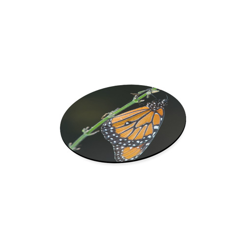 Monarch Butterfly Round Coaster