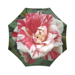 Rose Weis Rot Foldable Umbrella (Model U01)