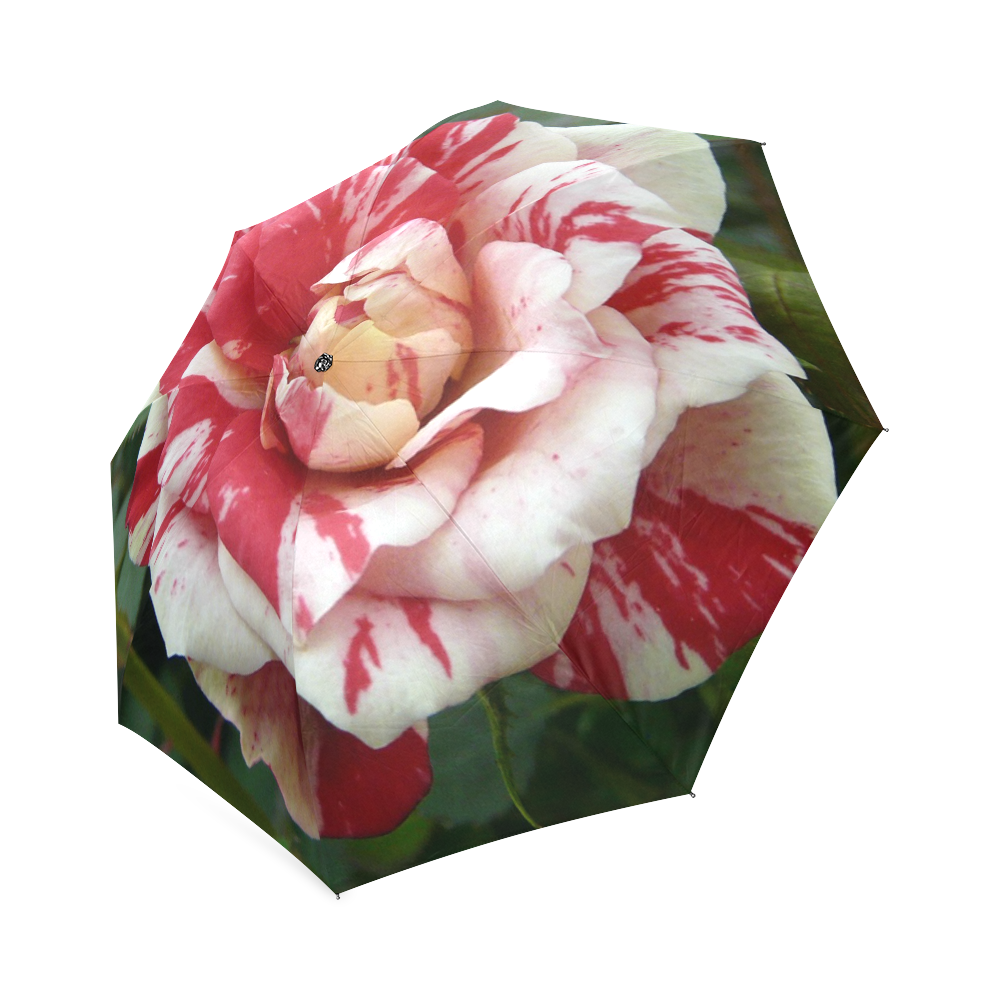 Rose Weis Rot Foldable Umbrella (Model U01)