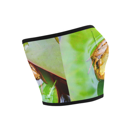 Frog on a Lily-pad Bandeau Top