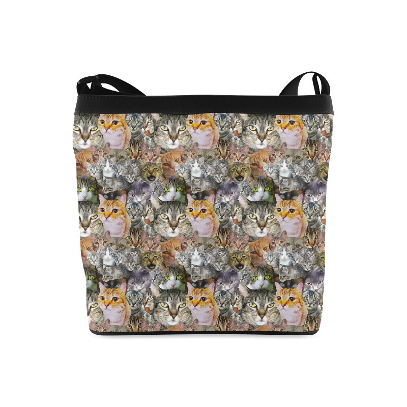 Funny cats pattern Crossbody Bags (Model 1613)