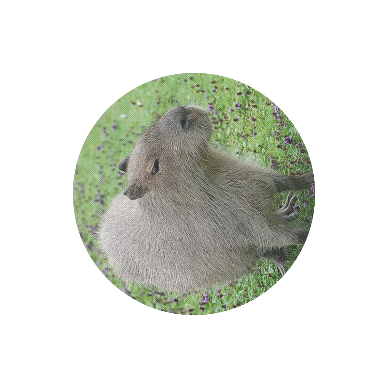cute capybara Round Mousepad