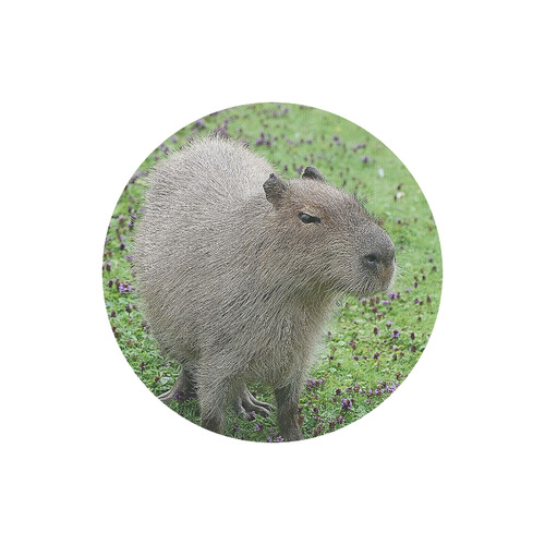 cute capybara Round Mousepad