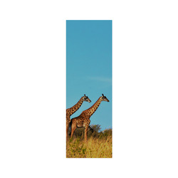 Africa_20160901 Poster 12"x36"