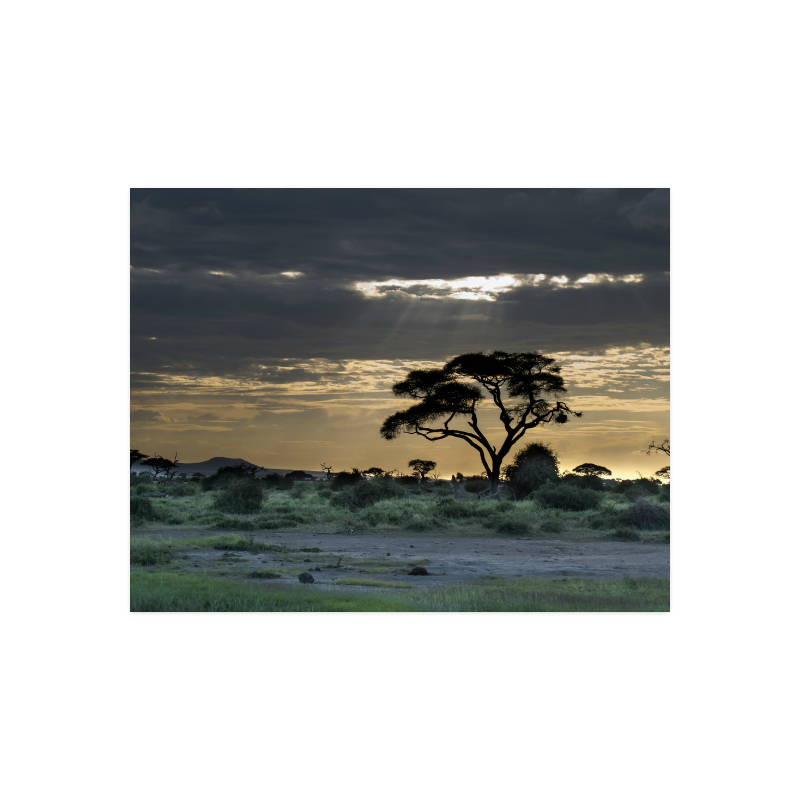 Africa_20160903 Poster 14"x11"