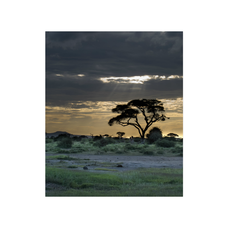 Africa_20160903 Poster 20"x24"