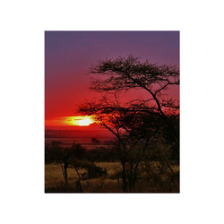Africa_20160902 Poster 20"x24"