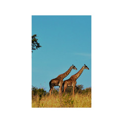 Africa_20160901 Poster 11"x17"