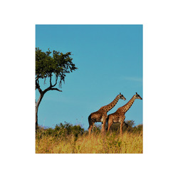 Africa_20160901 Poster 20"x24"