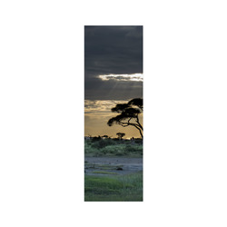 Africa_20160903 Poster 12"x36"