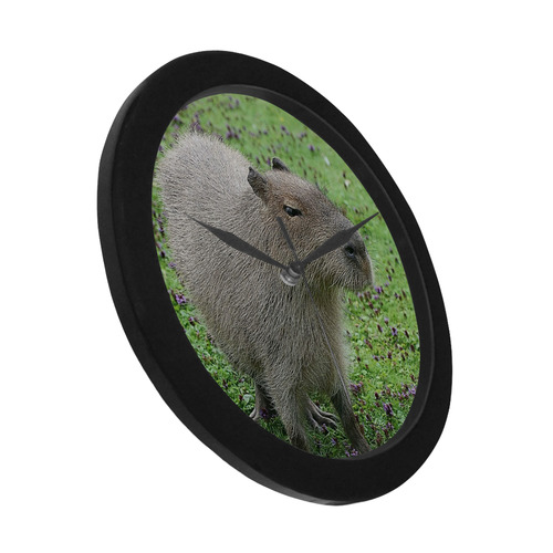 cute capybara Circular Plastic Wall clock