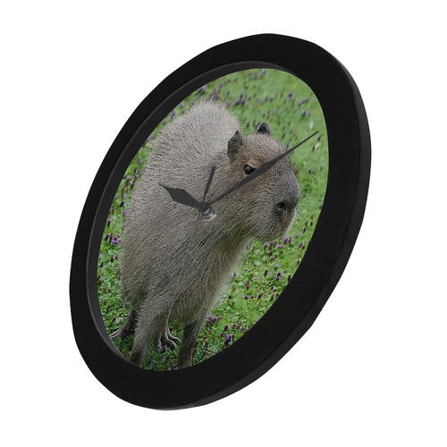 cute capybara Circular Plastic Wall clock