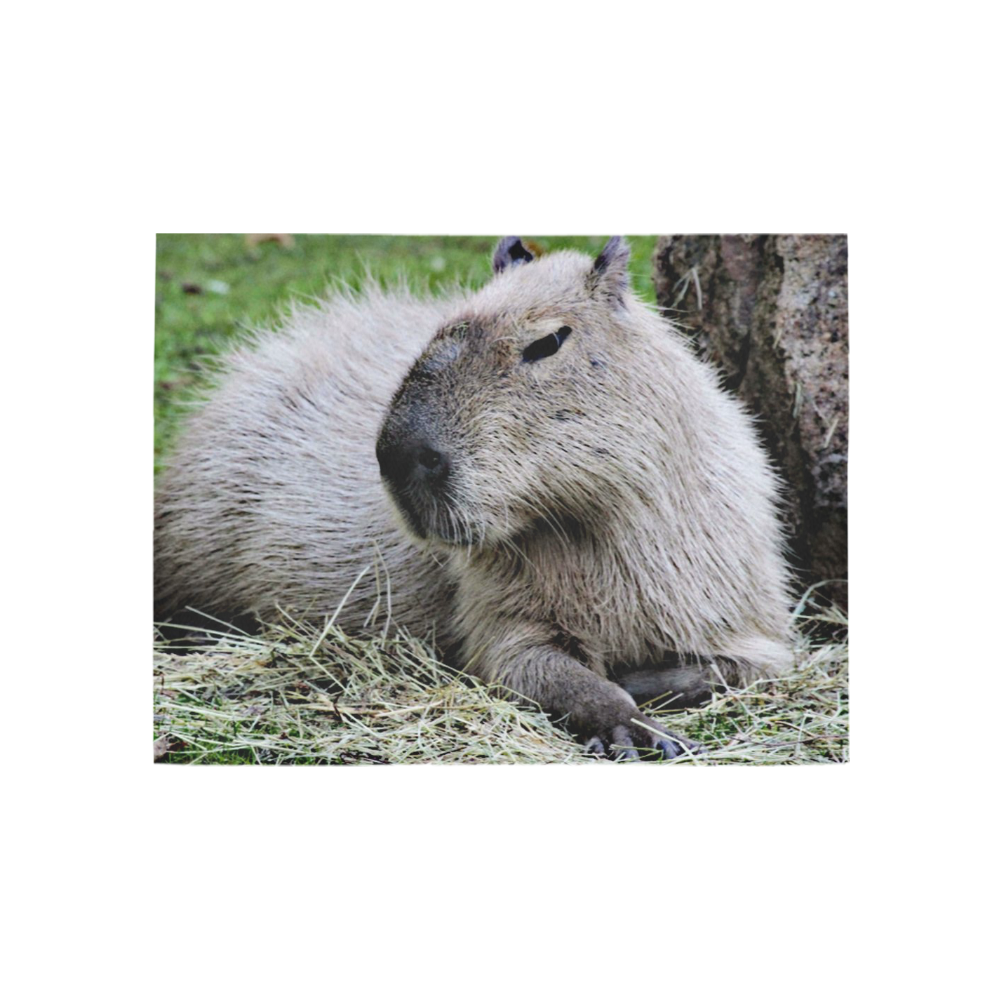 capybara Area Rug 5'3''x4' | ID: D824043