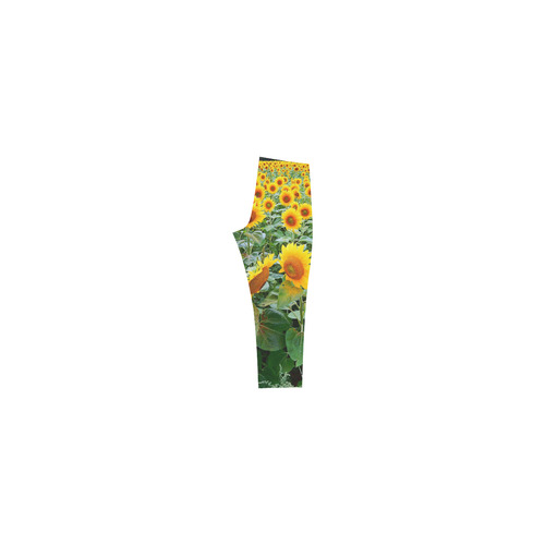 Sunflower Field Capri Legging (Model L02)