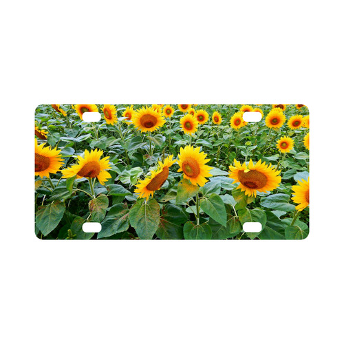 Sunflower Field Classic License Plate