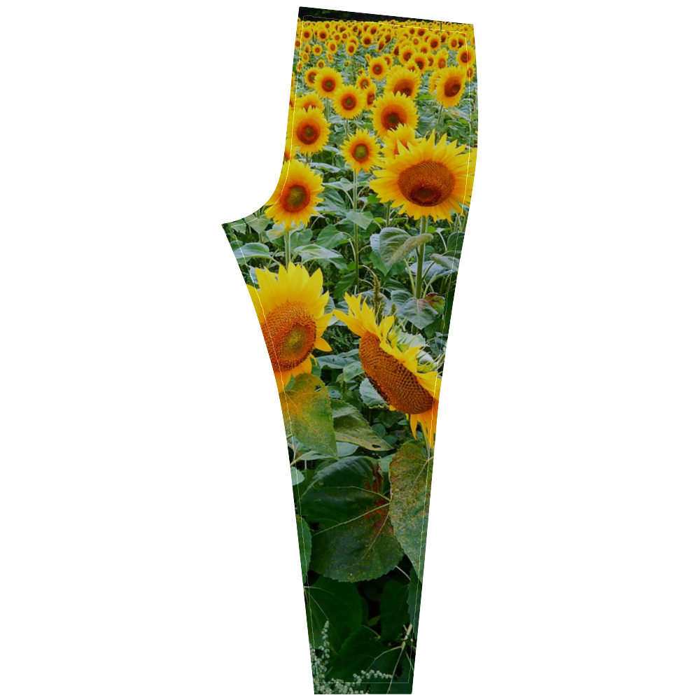 Sunflower Field Cassandra Women's Leggings (Model L01)