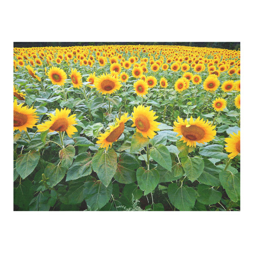 Sunflower Field Cotton Linen Tablecloth 52"x 70"