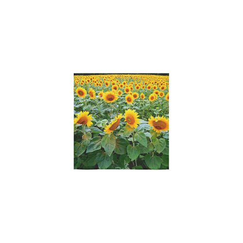 Sunflower Field Square Towel 13“x13”