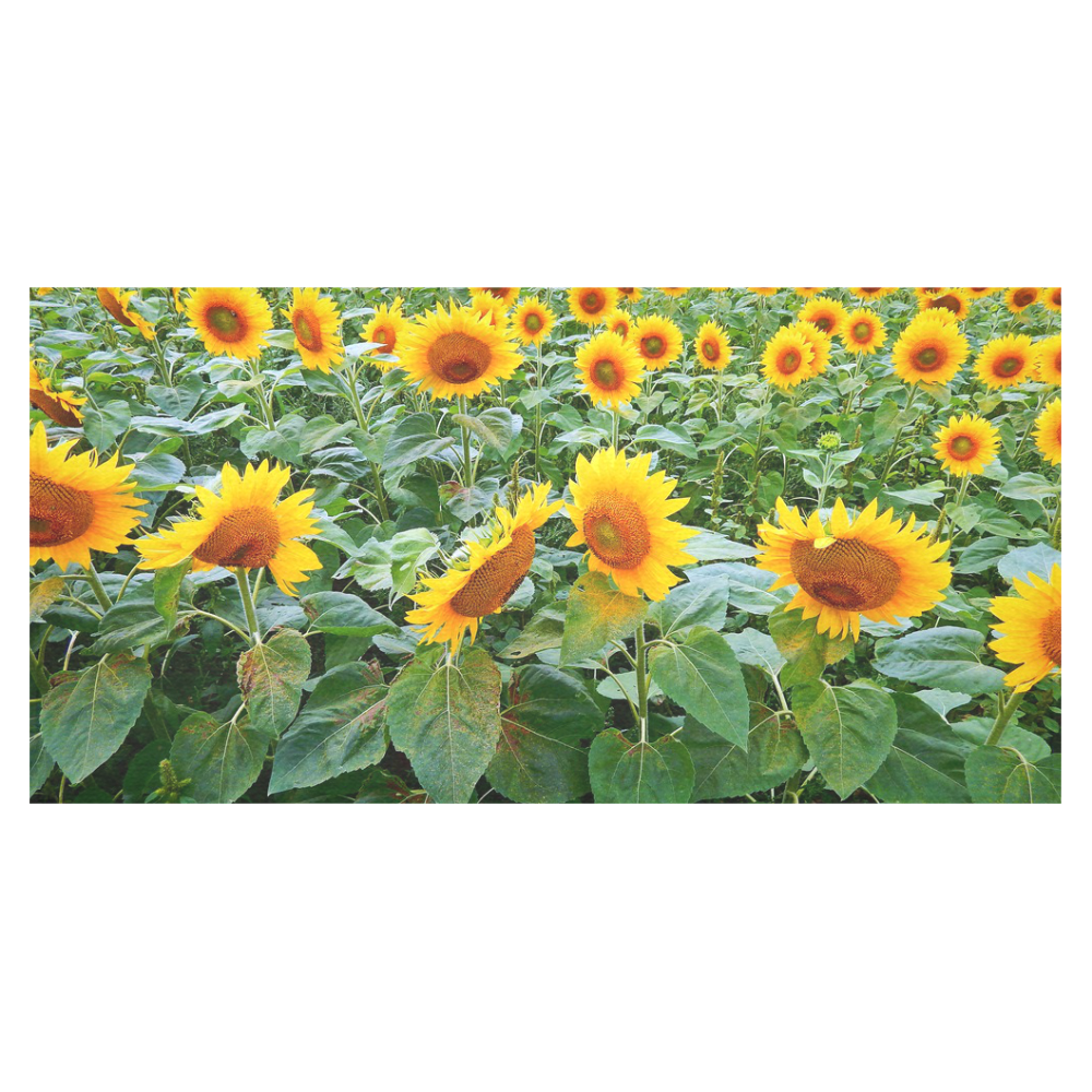 Sunflower Field Cotton Linen Tablecloth 60"x120"