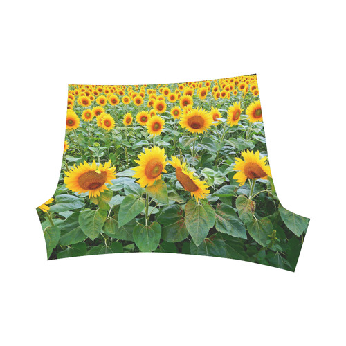 Sunflower Field Briseis Skinny Shorts (Model L04)