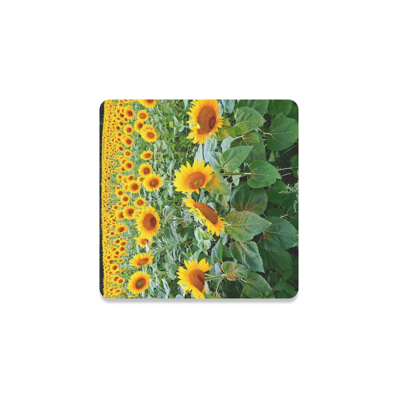 Sunflower Field Square Coaster