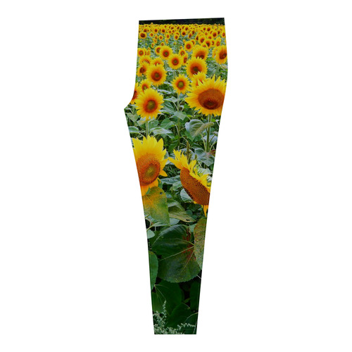 Sunflower Field Cassandra Women's Leggings (Model L01)