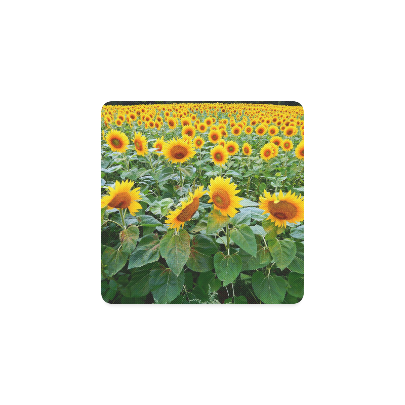 Sunflower Field Square Coaster