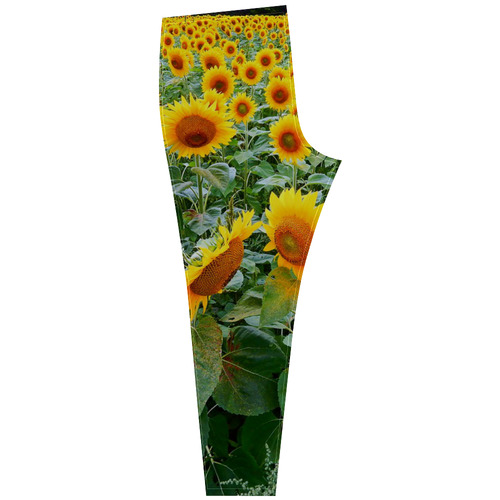 Sunflower Field Cassandra Women's Leggings (Model L01)
