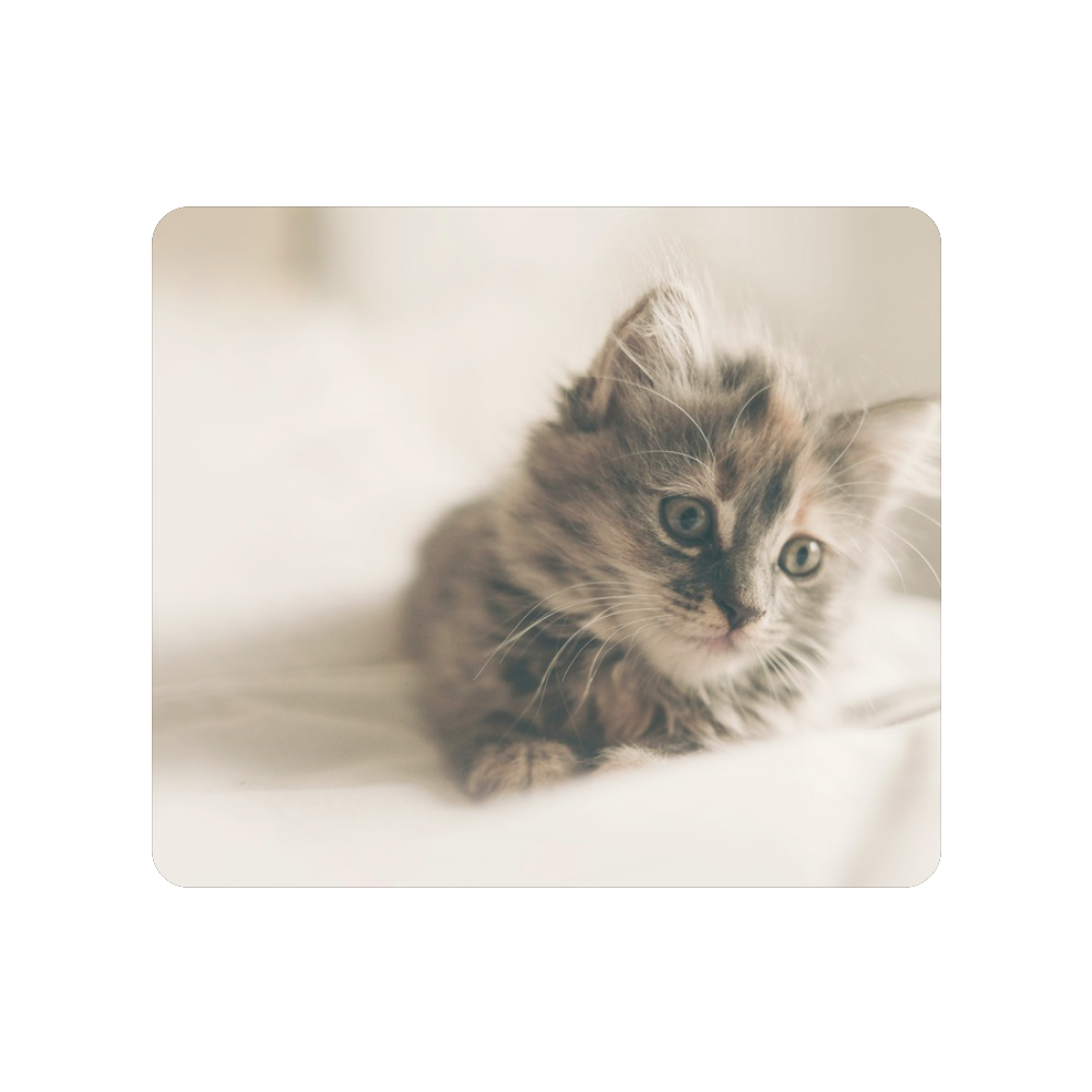 Lovely Sweet Little Cat Kitten Kitty Pet Men's Clutch Purse （Model 1638）