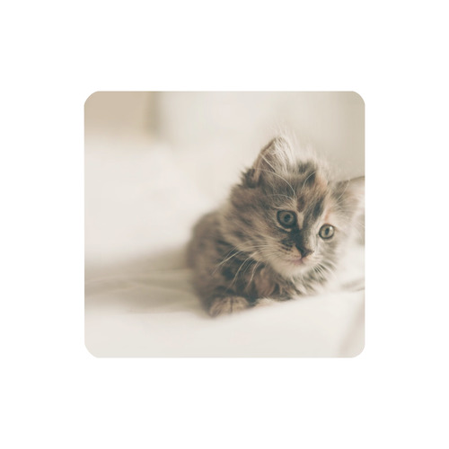 Lovely Sweet Little Cat Kitten Kitty Pet Women's Clutch Wallet (Model 1637)