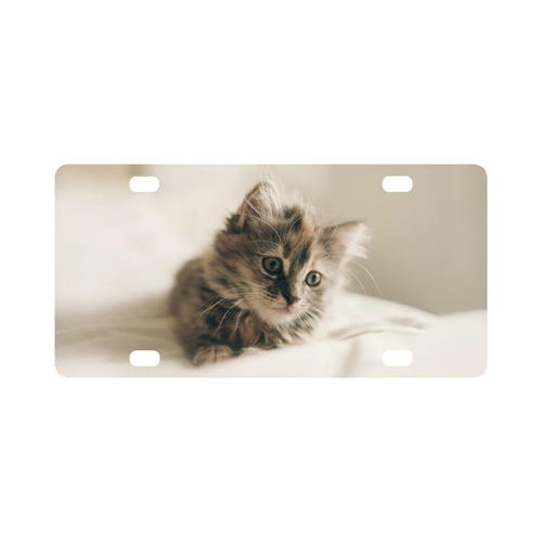 Lovely Sweet Little Cat Kitten Kitty Pet Classic License Plate
