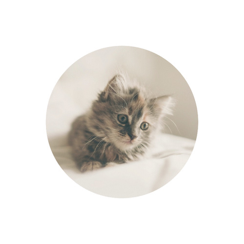 Lovely Sweet Little Cat Kitten Kitty Pet Round Mousepad