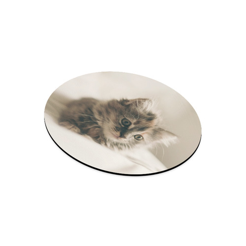 Lovely Sweet Little Cat Kitten Kitty Pet Round Mousepad