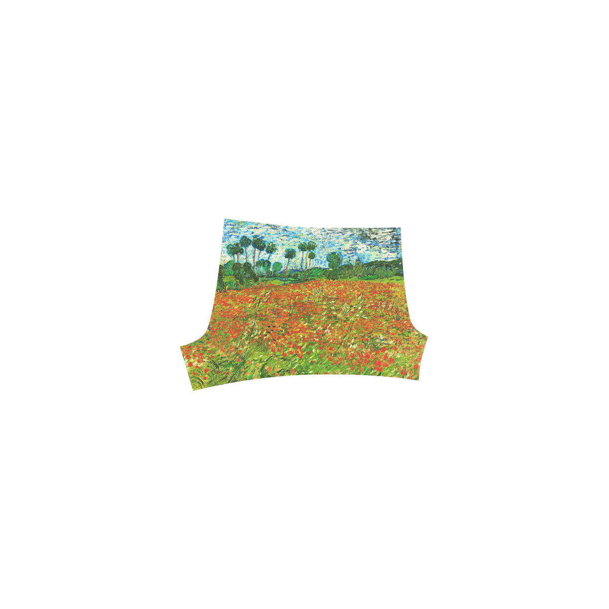 Vincent Van Gogh Field With Red Poppies Briseis Skinny Shorts (Model L04)