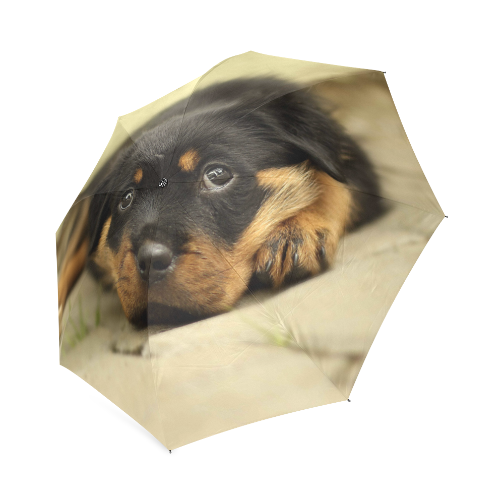 Rottweiler20150901 Foldable Umbrella (Model U01)