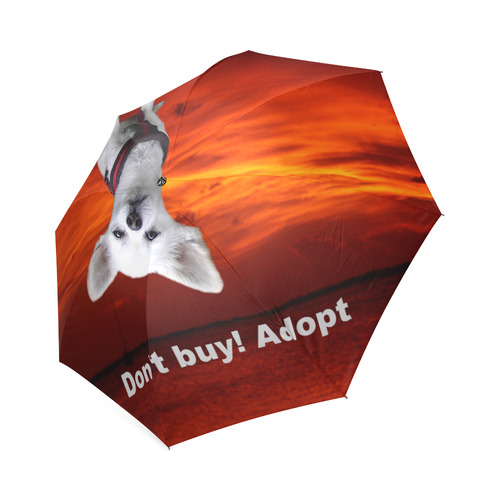 Dog Chihuahua Foldable Umbrella (Model U01)