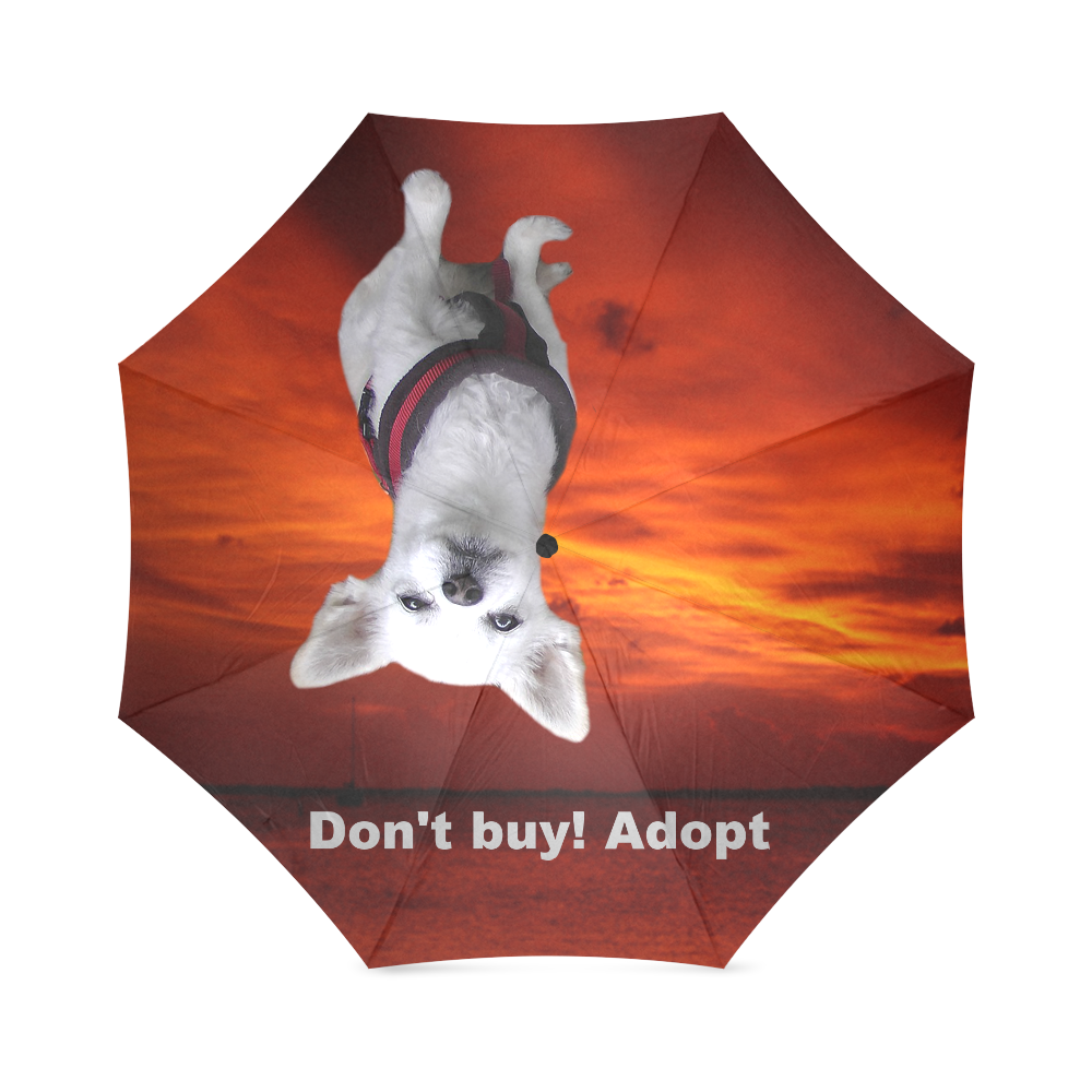 Dog Chihuahua Foldable Umbrella (Model U01)