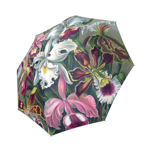 Orchids Ernst Haeckel Flower Nature Fine Art Foldable Umbrella (Model U01)